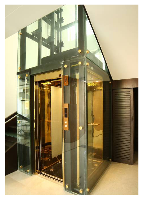 Home Elevator